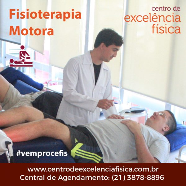 fisioterapia motora